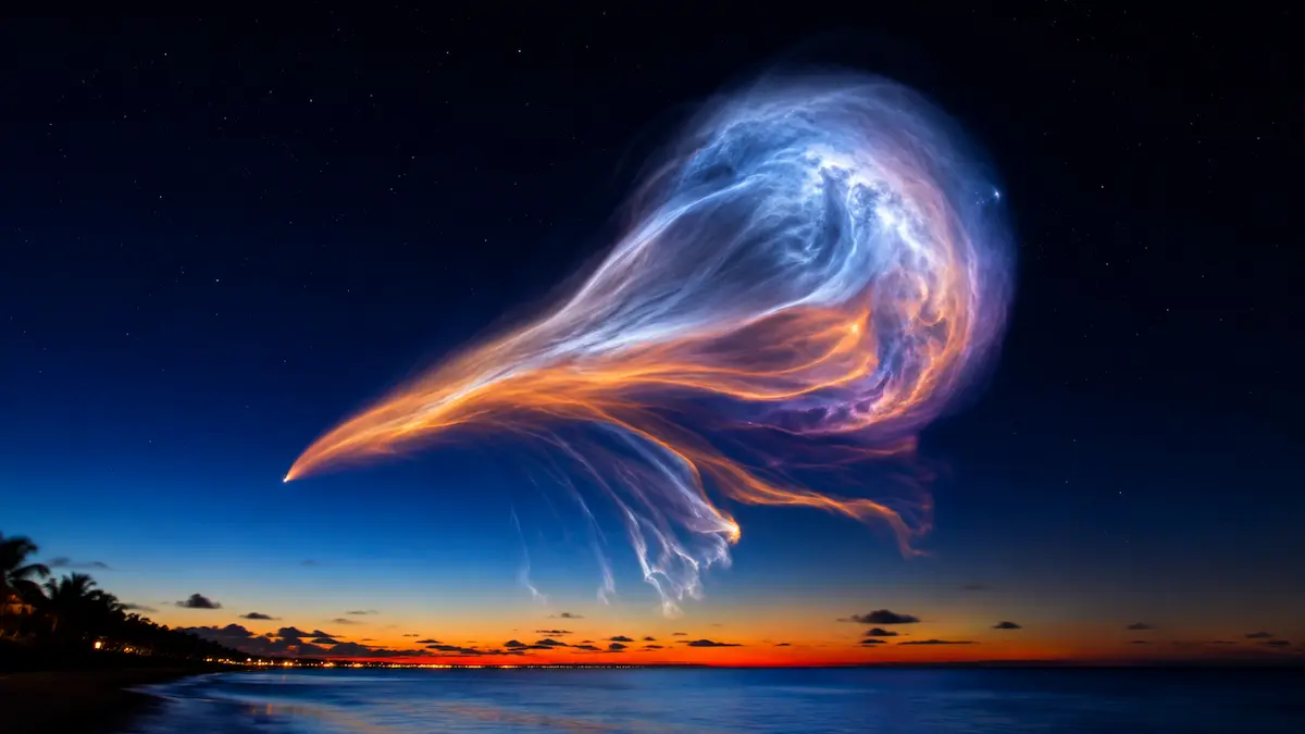 Space jellyfish